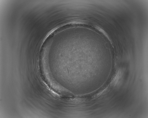 X0000080660829200612221049