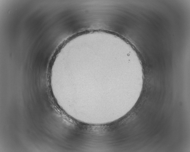X0000080660832200612221049