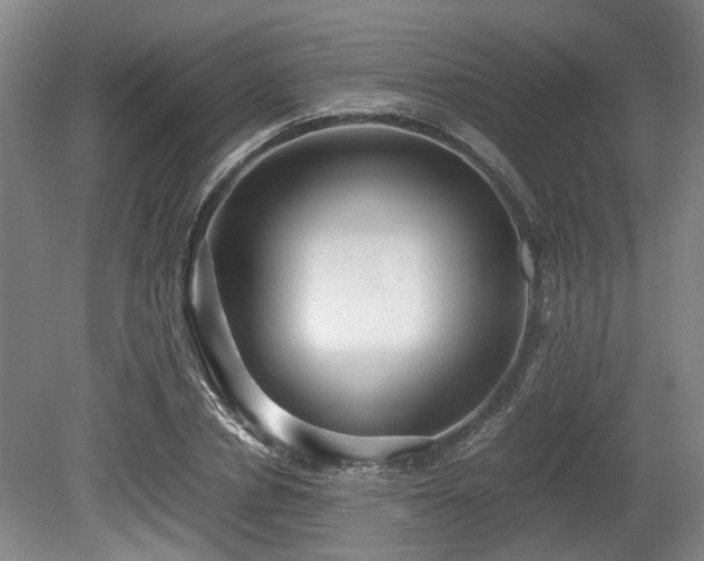 X0000080660834200612221049
