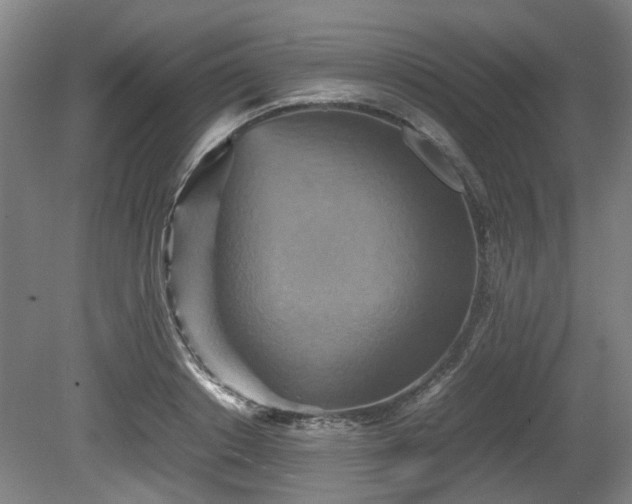 X0000080660842200612221049