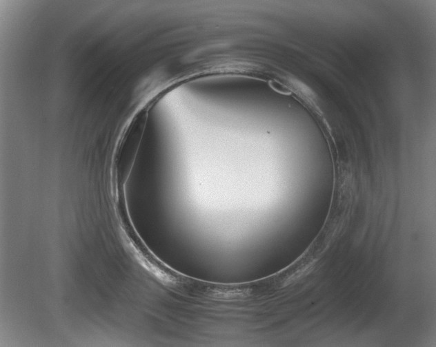 X0000080660843200612221049