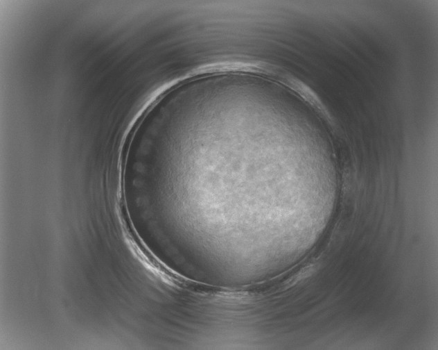 X0000080660844200612221049