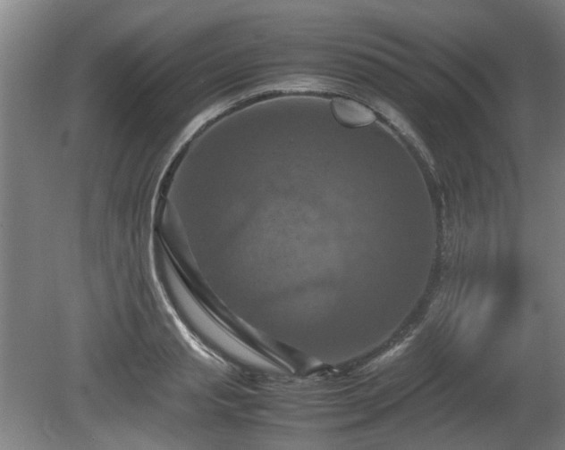 X0000080660845200612221049