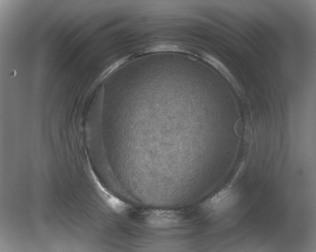 X0000080660849200612221049