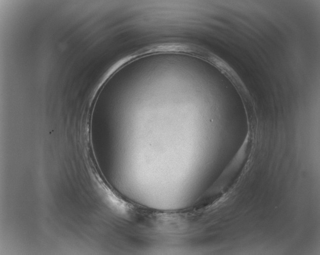 X0000080660852200612221049