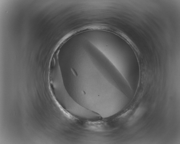 X0000080660853200612221049