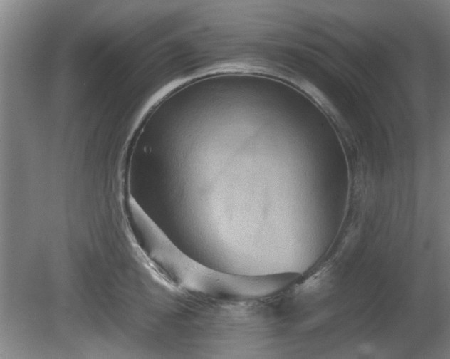 X0000080660854200612221049