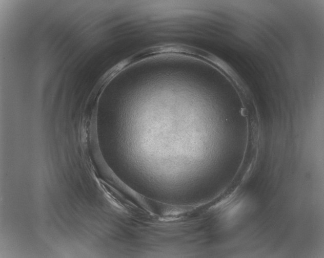 X0000080660857200612221049