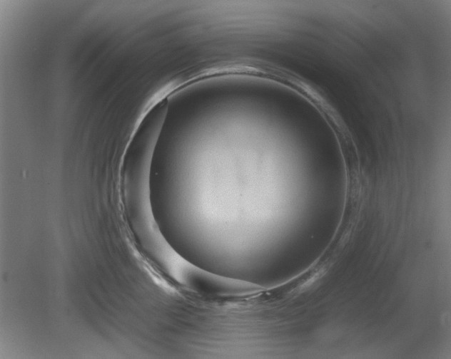 X0000080660858200612221049