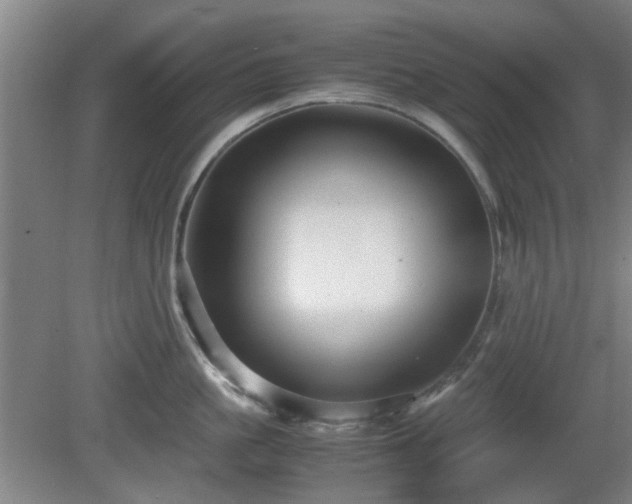 X0000080660861200612221049