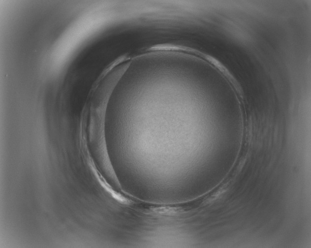 X0000080660862200612221049