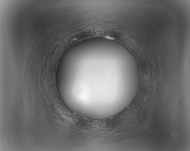 X0000080660865200612221048