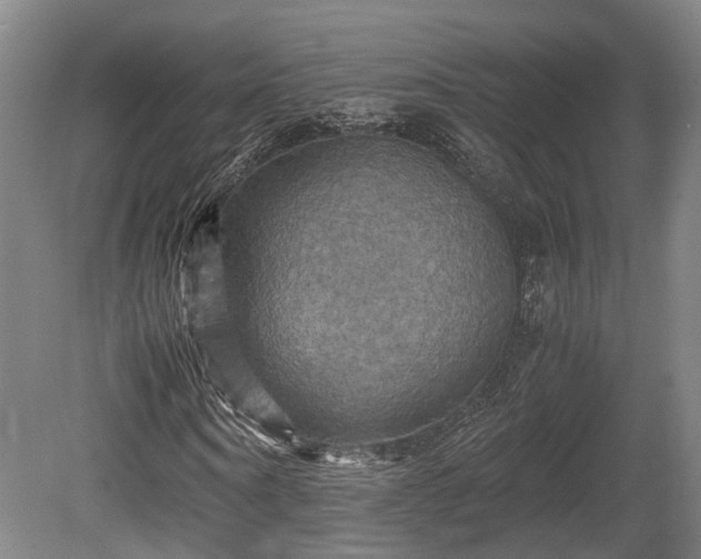 X0000080660866200612221048