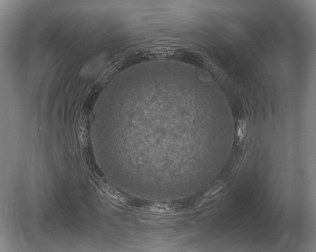 X0000080660867200612221048