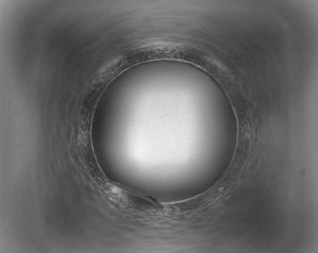 X0000080660869200612221048