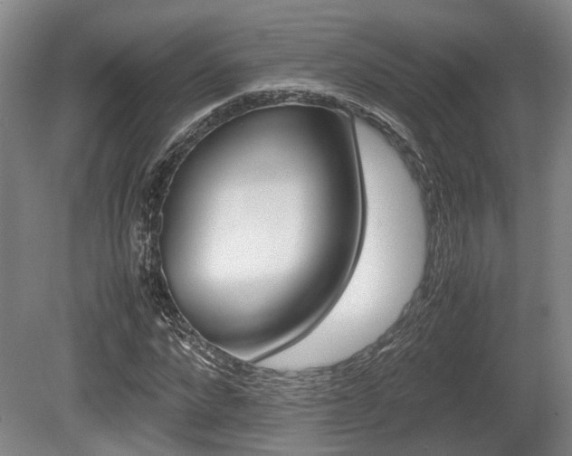 X0000080660872200612221048