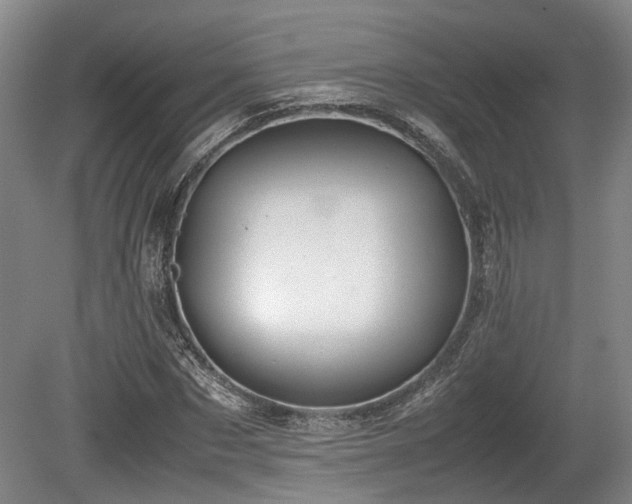 X0000080660873200612221048