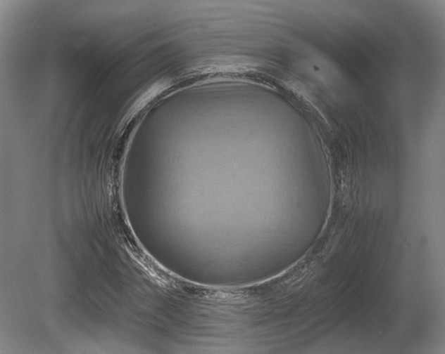 X0000080660874200612221048