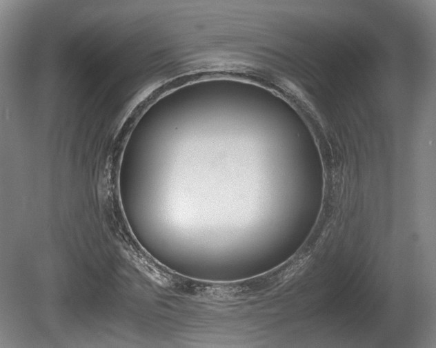 X0000080660875200612221048