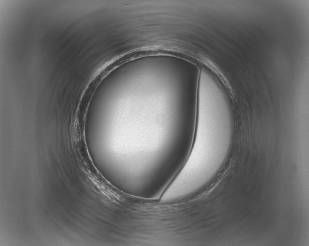 X0000080660876200612221048