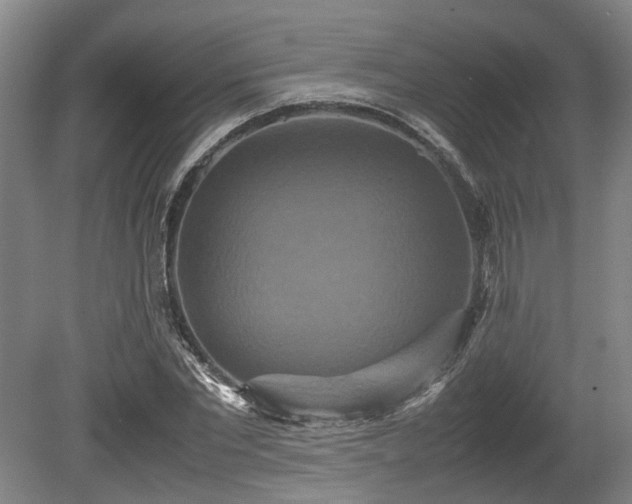 X0000080660877200612221048