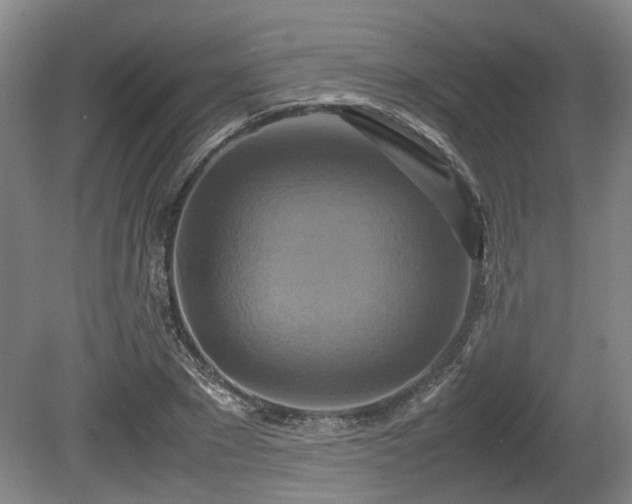 X0000080660881200612221048