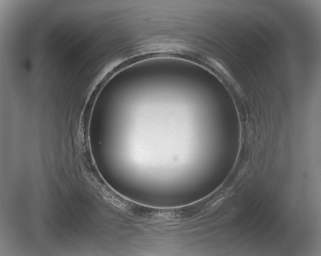 X0000080660883200612221048