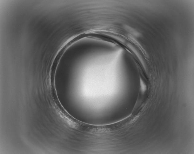 X0000080660884200612221048