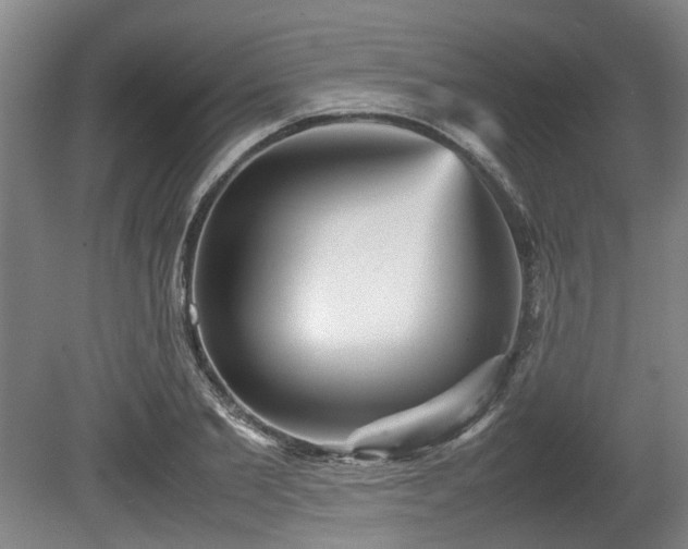 X0000080660885200612221048