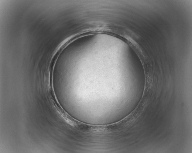 X0000080660886200612221048