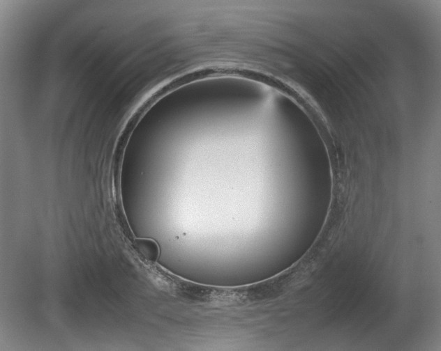 X0000080660887200612221048