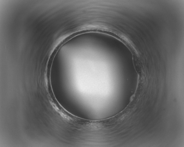 X0000080660888200612221048