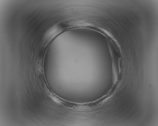 X0000080660889200612221048
