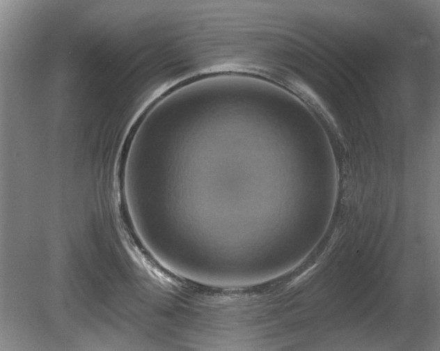 X0000080660892200612221048