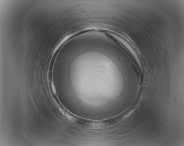 X0000080660893200612221048