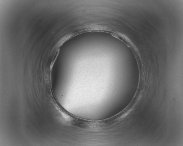 X0000080660897200612221048