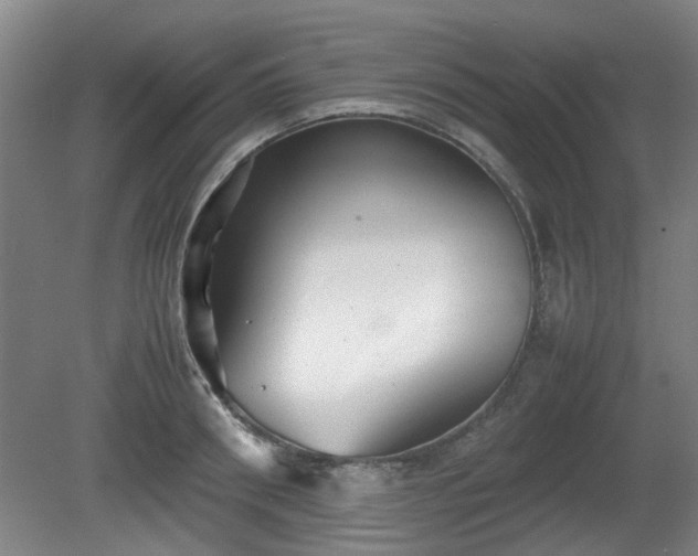 X0000080660898200612221048