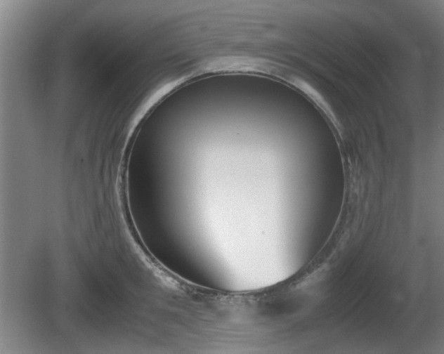 X0000080660901200612221048