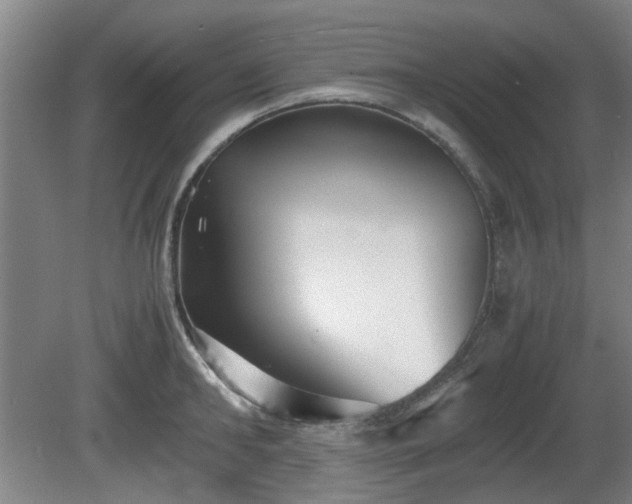 X0000080660902200612221048