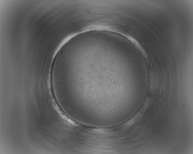 X0000080660904200612221048