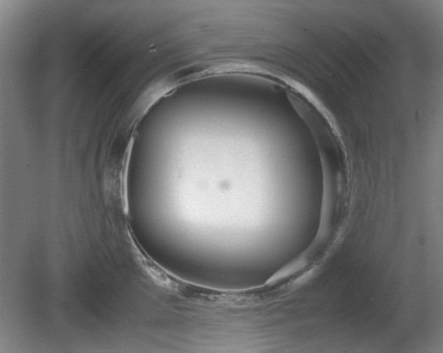 X0000080660905200612221048