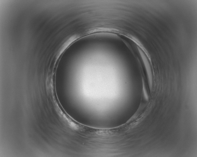X0000080660906200612221048