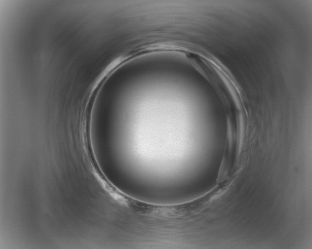 X0000080660909200612221048