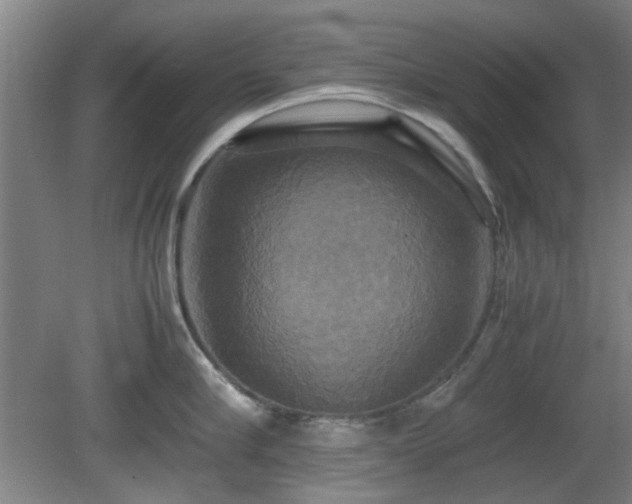 X0000080660910200612221048