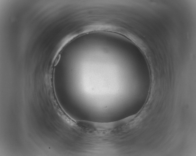 X0000080660912200612221047