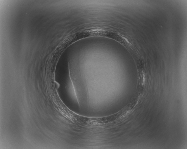 X0000080660913200612221047