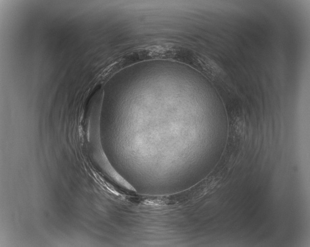 X0000080660914200612221047
