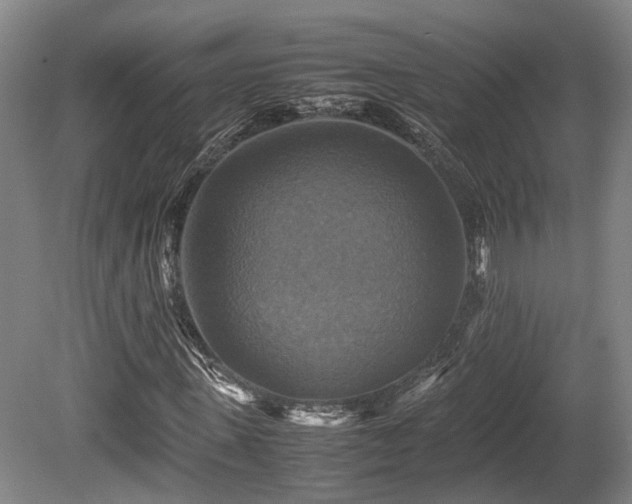 X0000080660915200612221047
