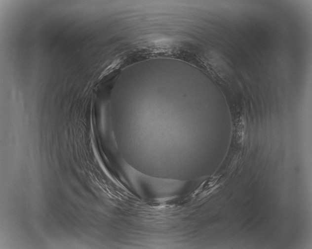 X0000080660916200612221047