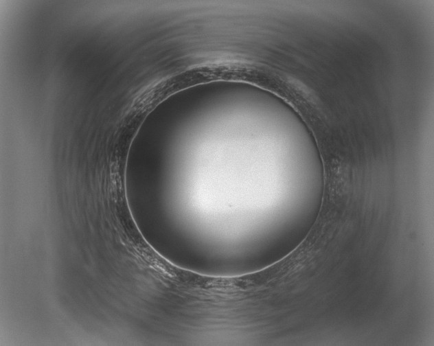 X0000080660918200612221047